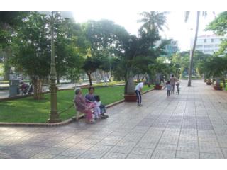Gạch Terrazzo mai rùa